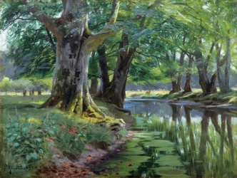 Verano en el arroyo del bosque